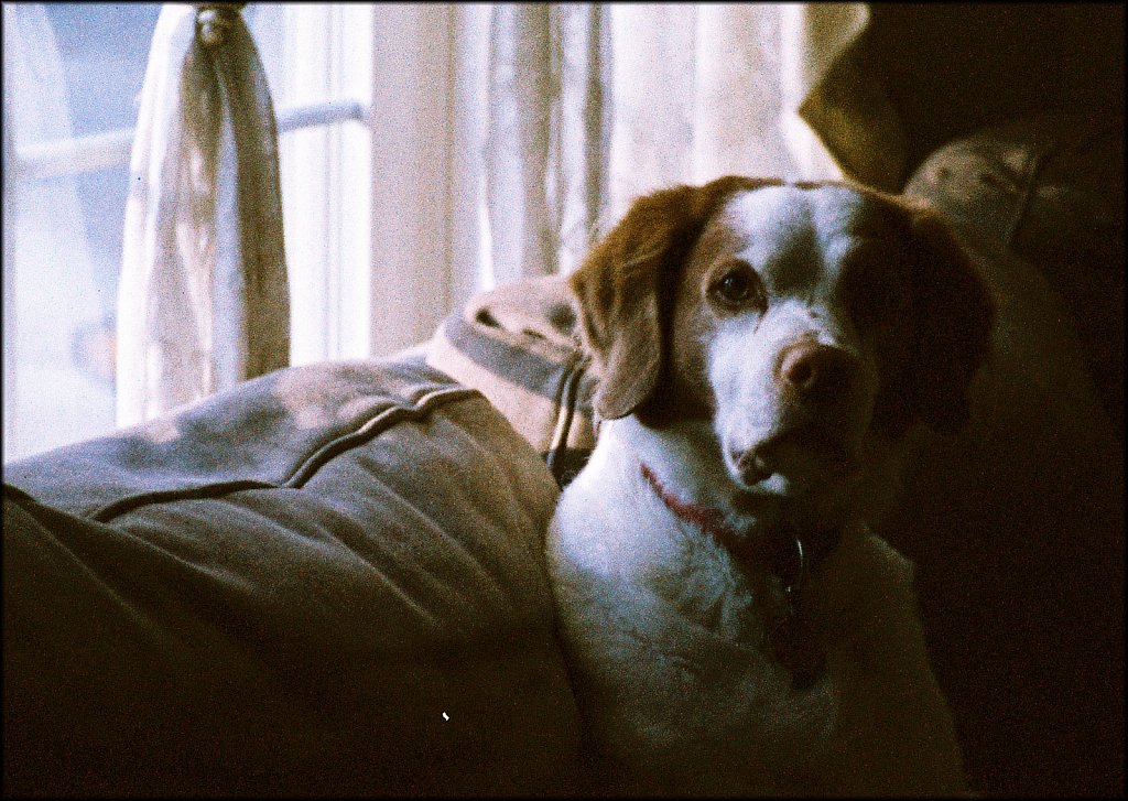 Pentax Auto 110 Test Roll