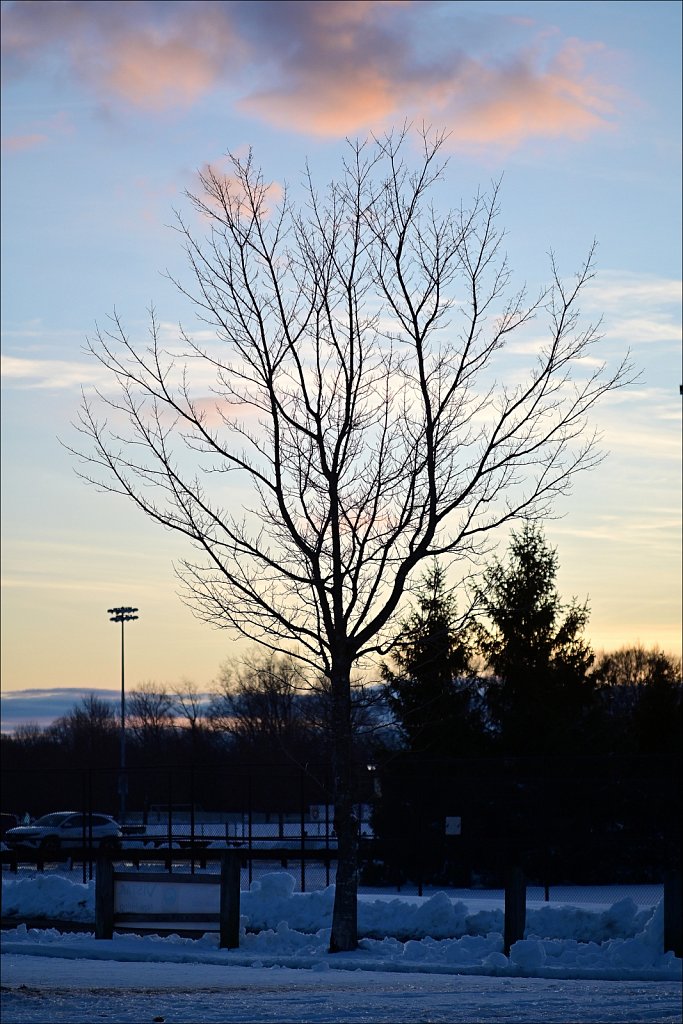 Winter Evening at Turkey Brook Park