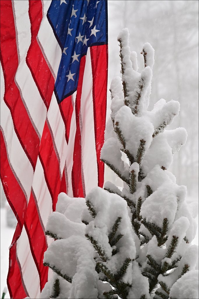 February Snow