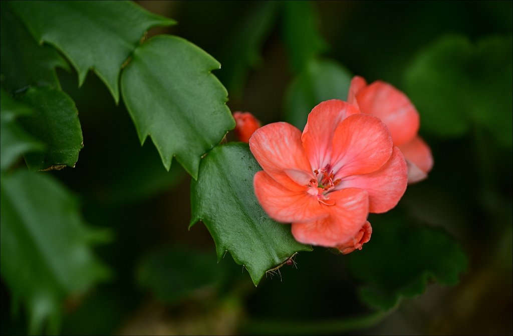 On Mom's Porch