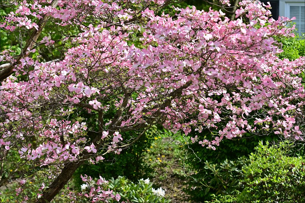 Hurd Park