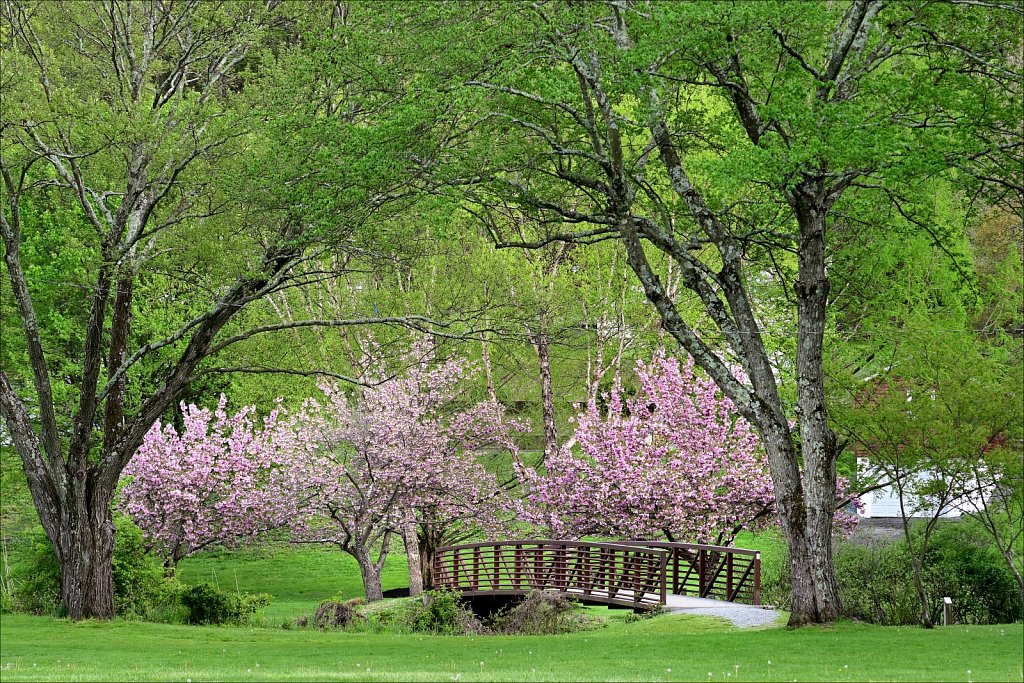 Hurd Park