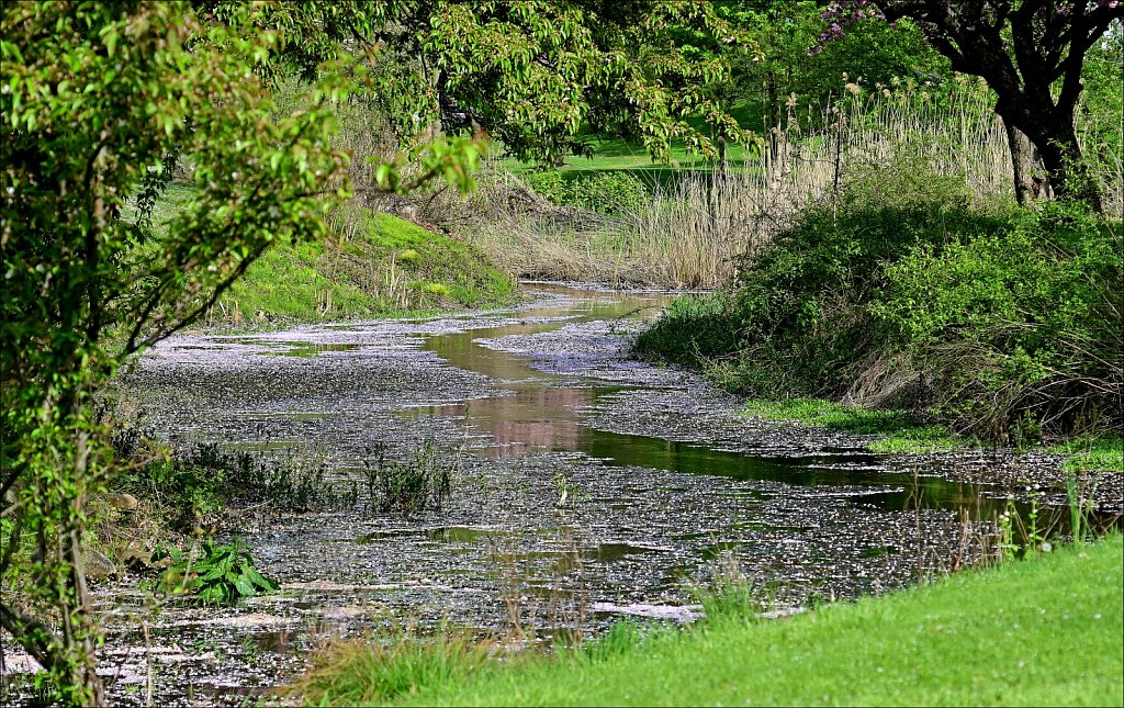 Hurd Park