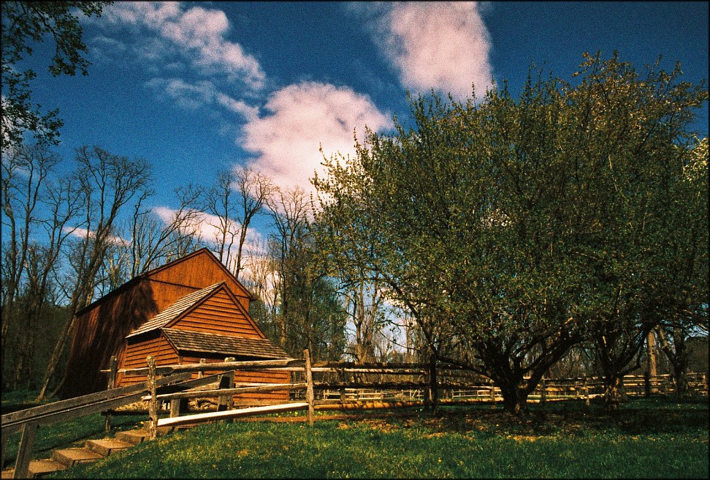 Jockey Hollow 