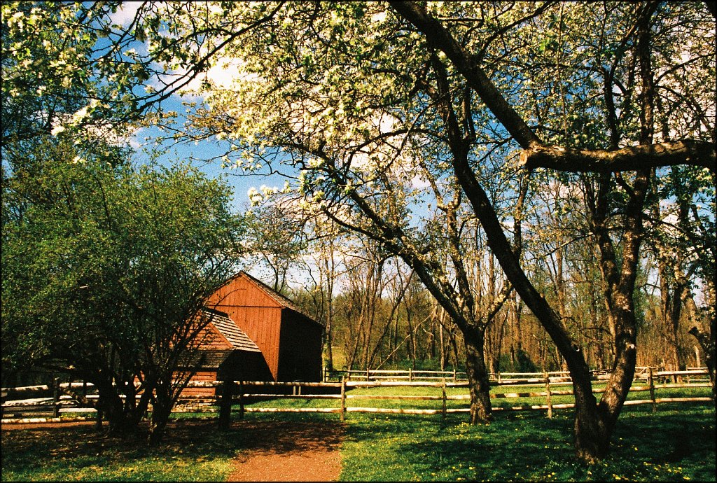 Jockey Hollow 