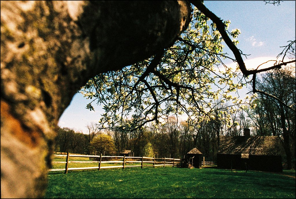 Jockey Hollow 