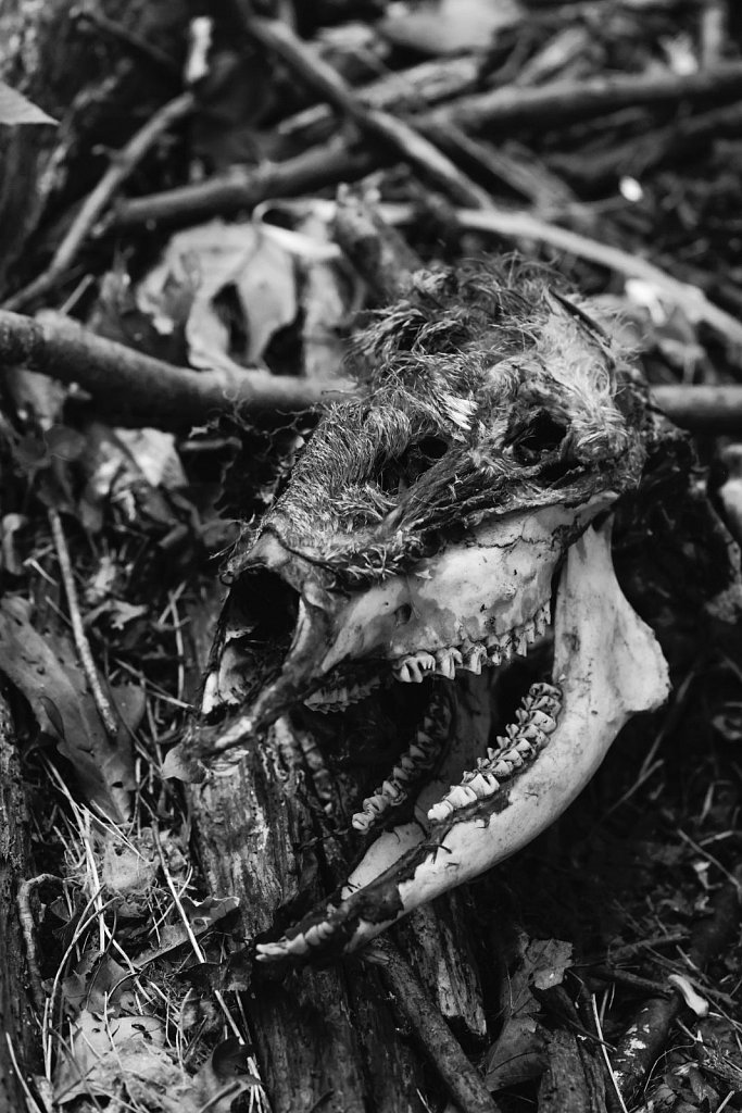 "An Extreme Close Up" Card 5 