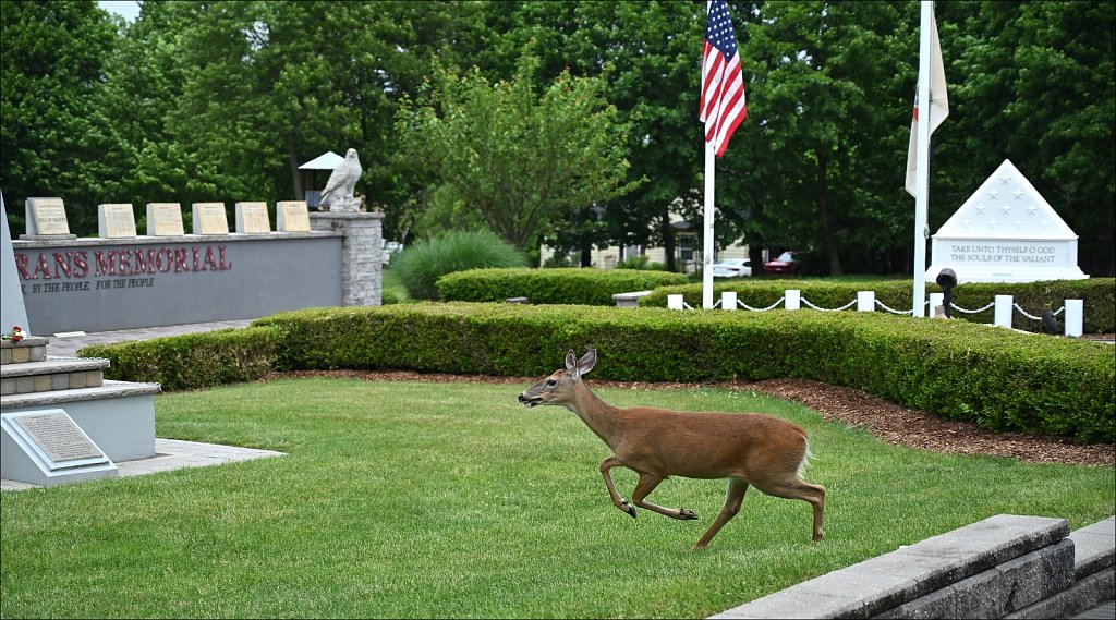 2024 Memorial Day