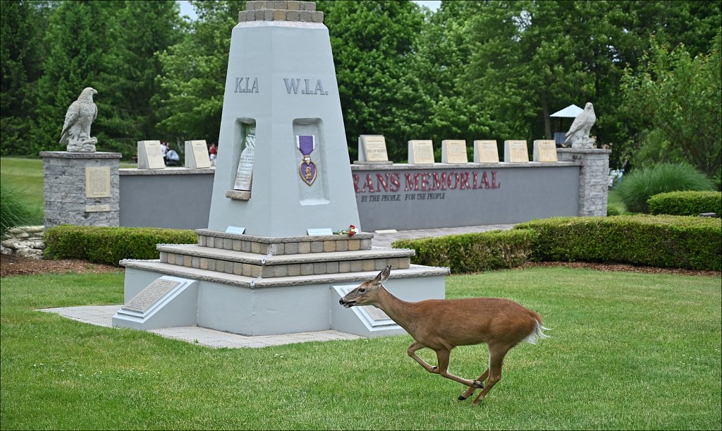 2024 Memorial Day