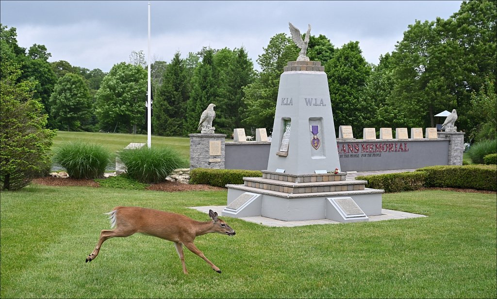 2024 Memorial Day