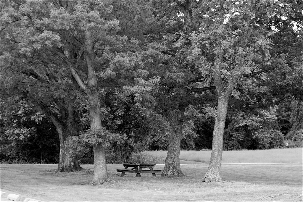 Schooley's Mountain Park 