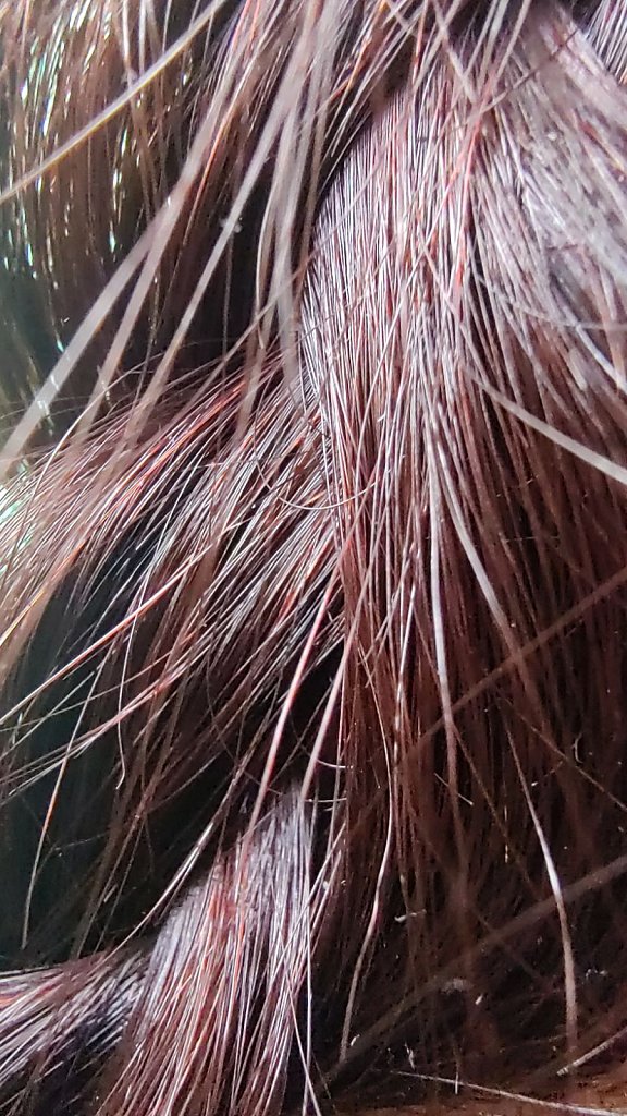 Card 15 "Hair" 