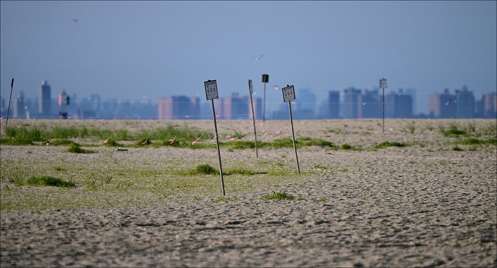 Sandy Hook & Atlantic Highlands