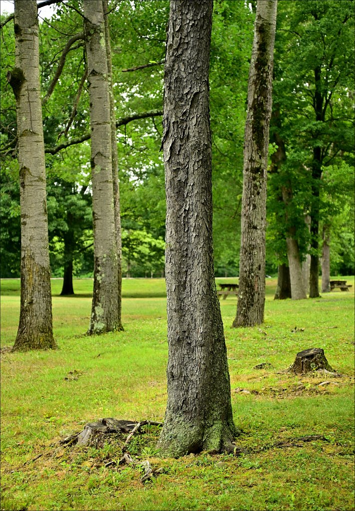 Schooley's Mountain Park 