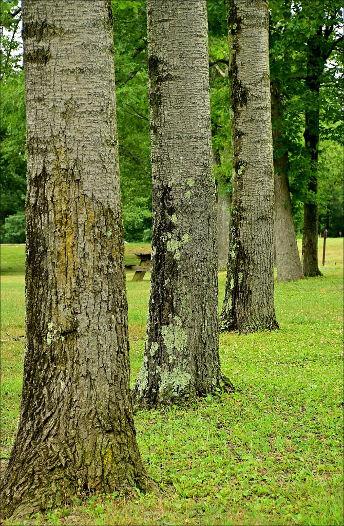 Schooley's Mountain Park 