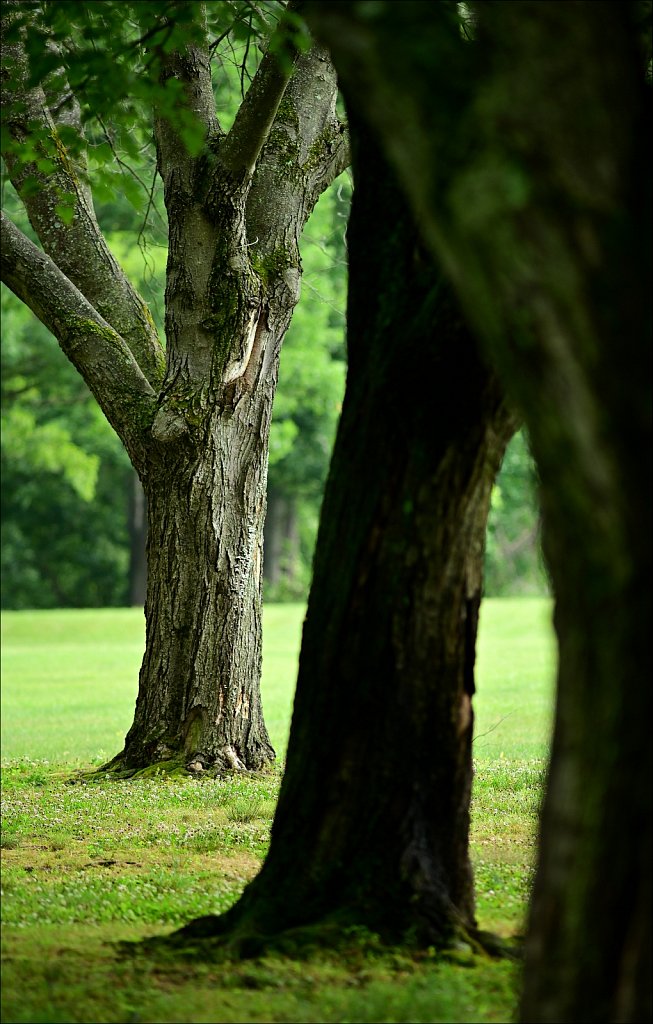 Schooley's Mountain Park 