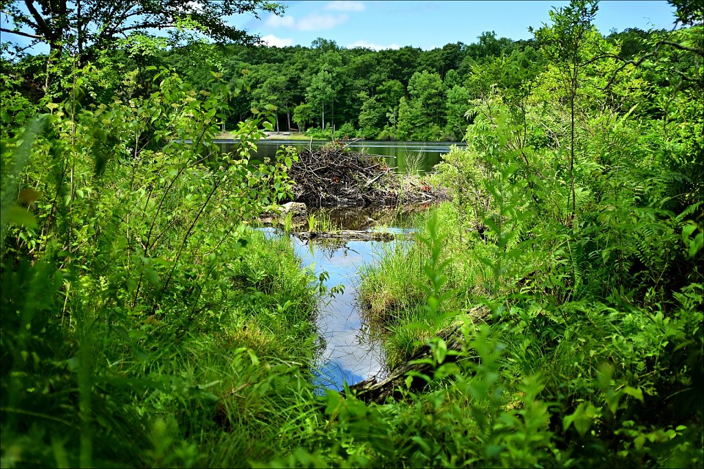 MAHLON DICKERSON RESERVATION 