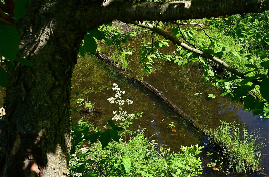 MAHLON DICKERSON RESERVATION 
