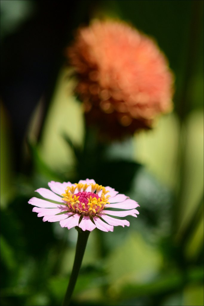 Willowwood Arboretum 