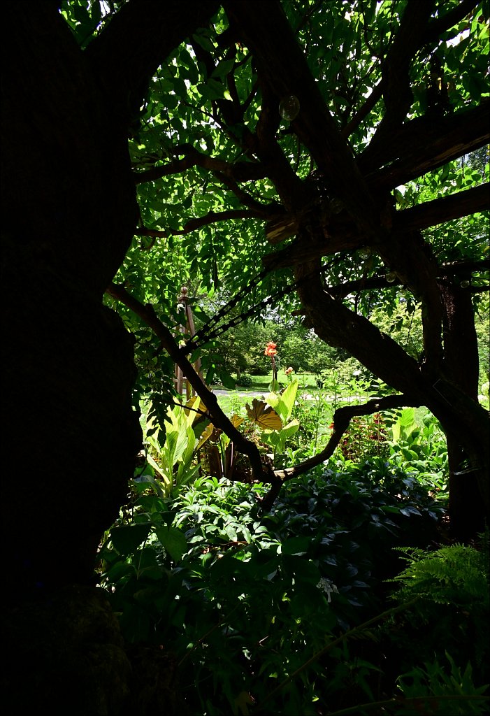 Willowwood Arboretum  