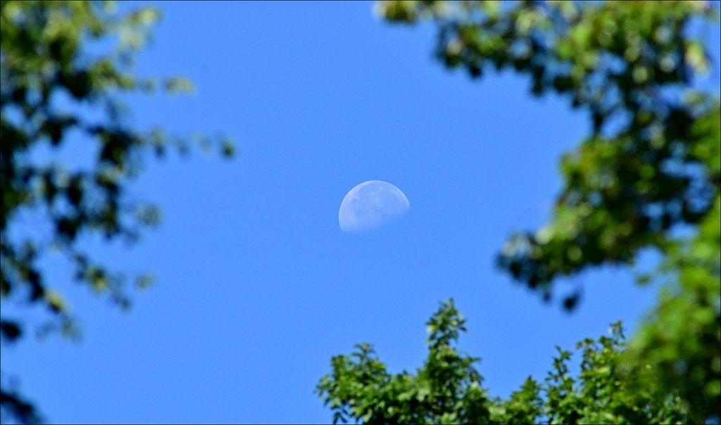 Carl Zeiss Tele-Tessar 300mm F/4 T*