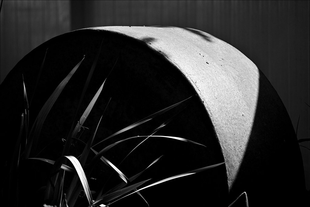 Project Black and White