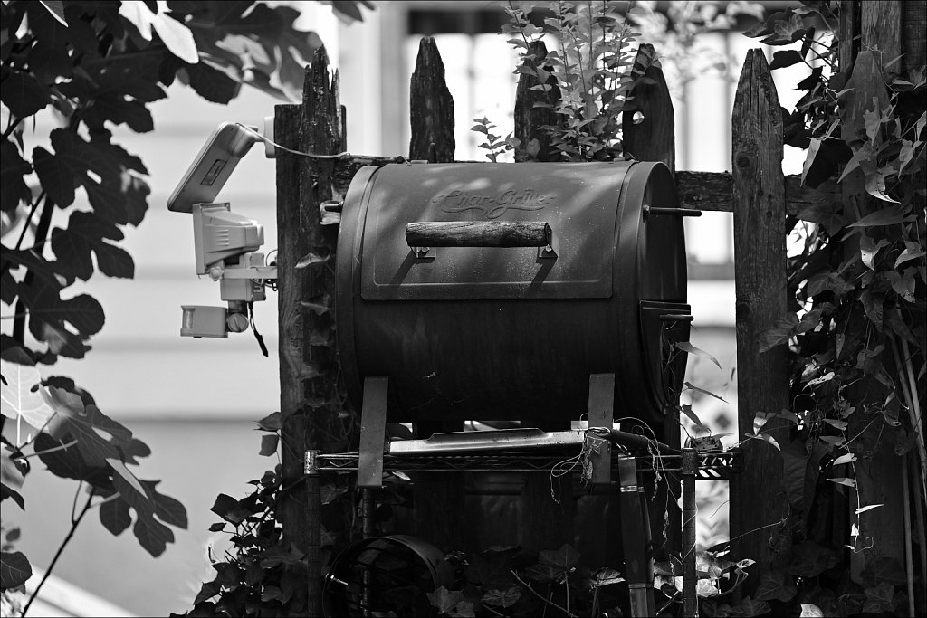 Around The Yard In Black and White