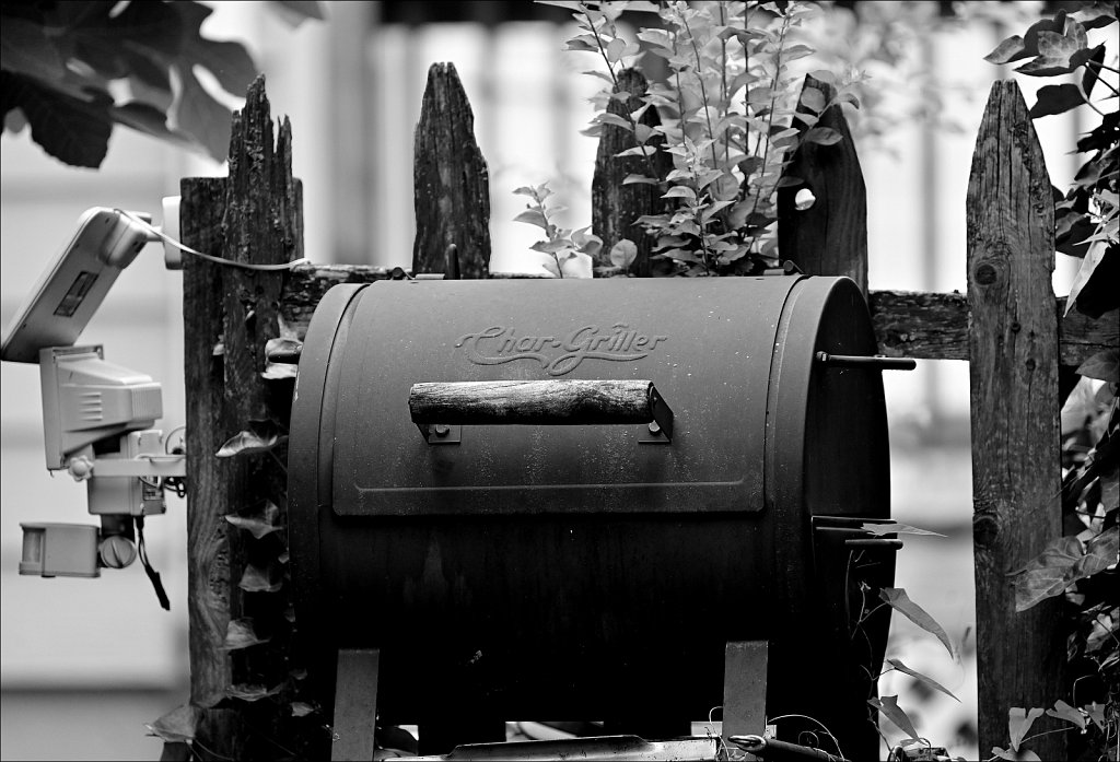 Around The Yard In Black and White