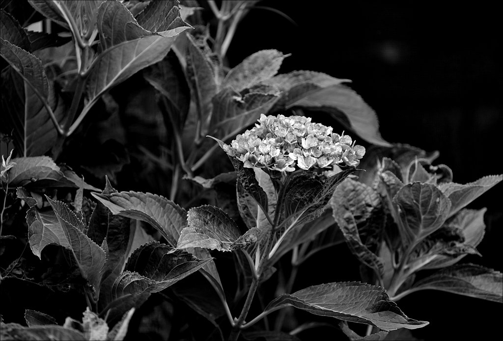 Project 365 by Rich Gigli