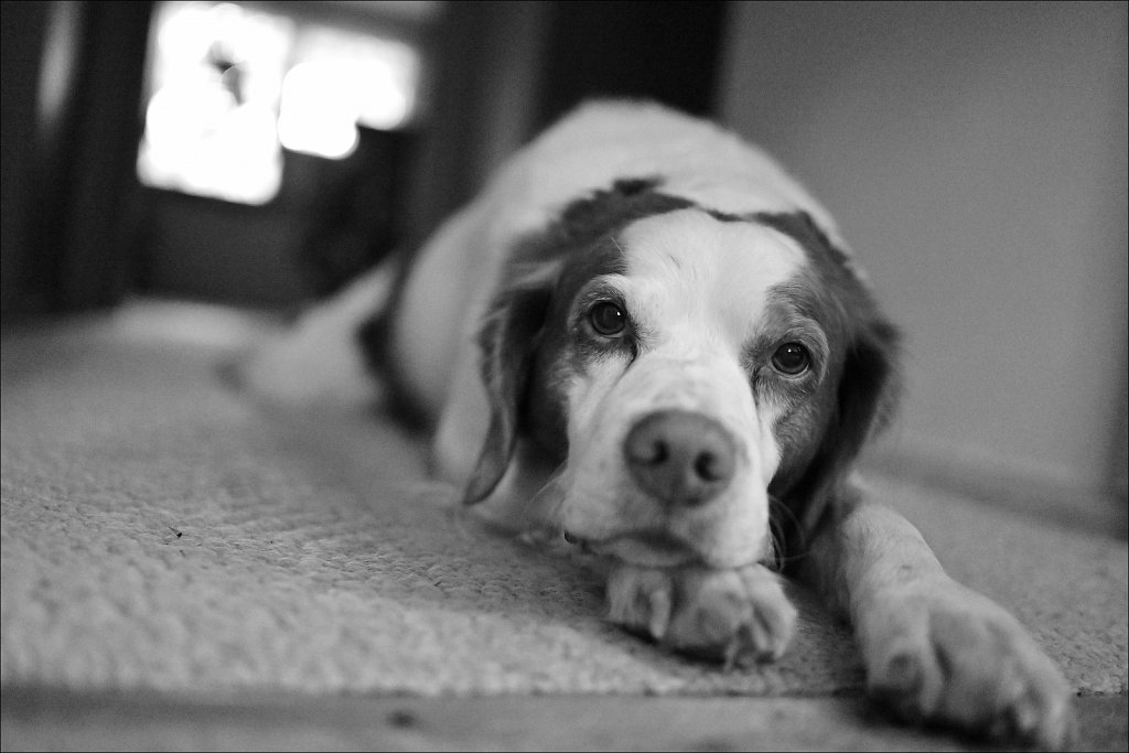Test Shots with New Z9 (#2)