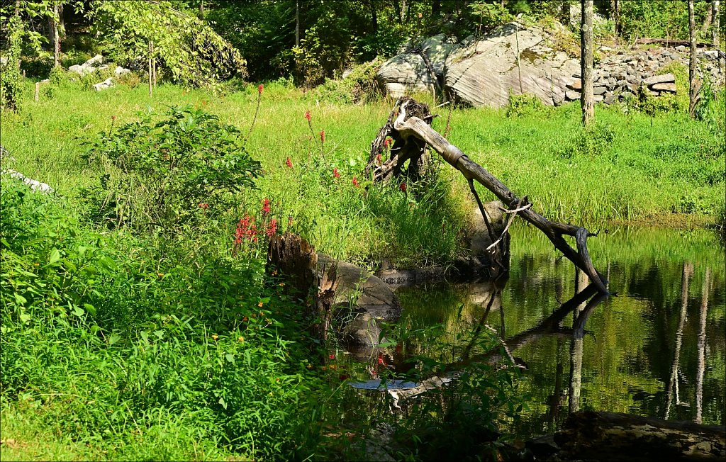 Along The Sussex Branch Trail