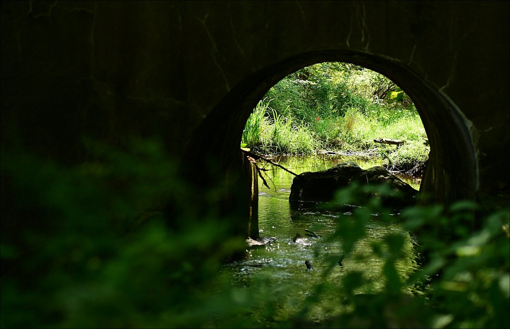 Along The Sussex Branch Trail