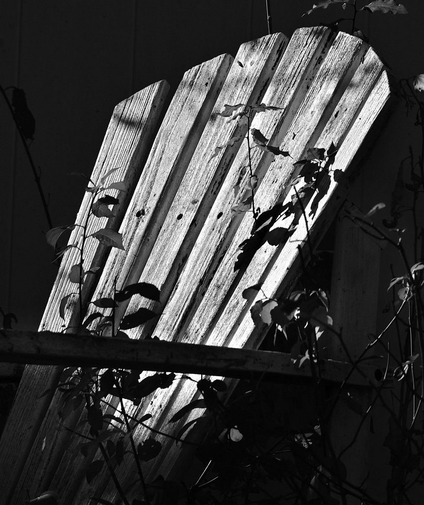 DSC-3111-copy.jpg
