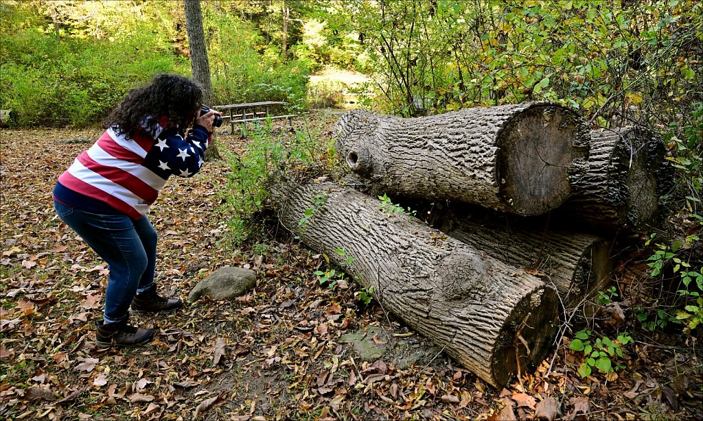 Stephens State Park