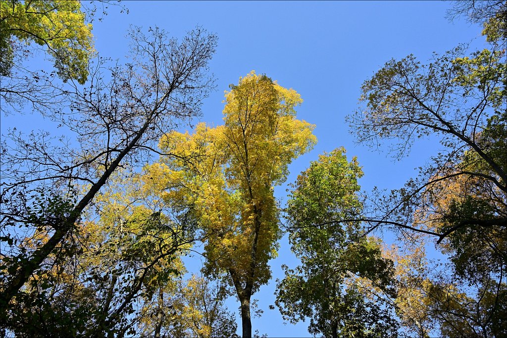 Stephens State Park