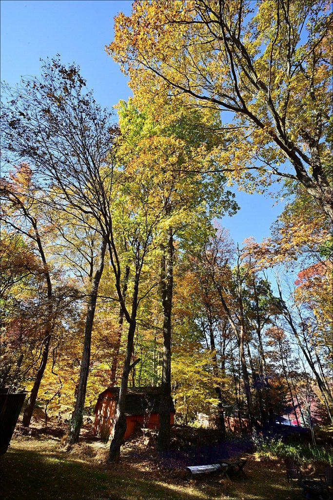 Fall with the 15mm