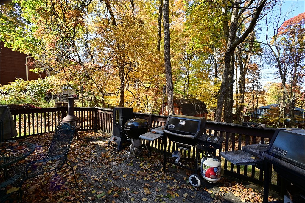Fall with the 15mm