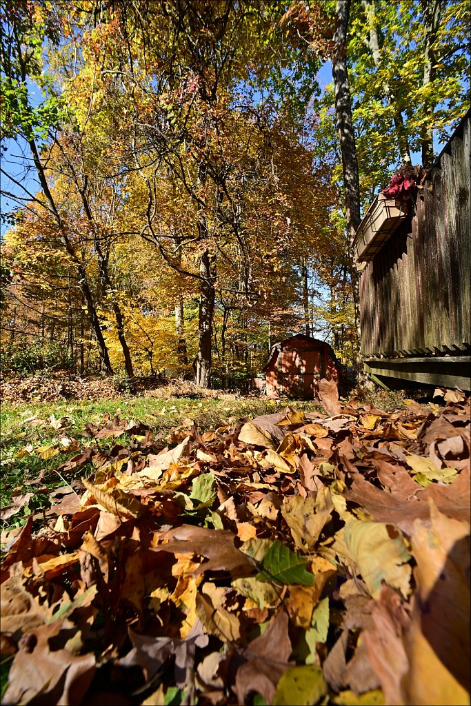 Fall with the 15mm