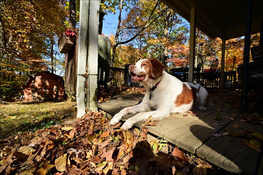 Fall with the 15mm