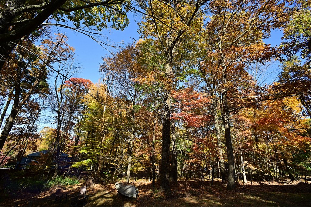 Fall with the 15mm