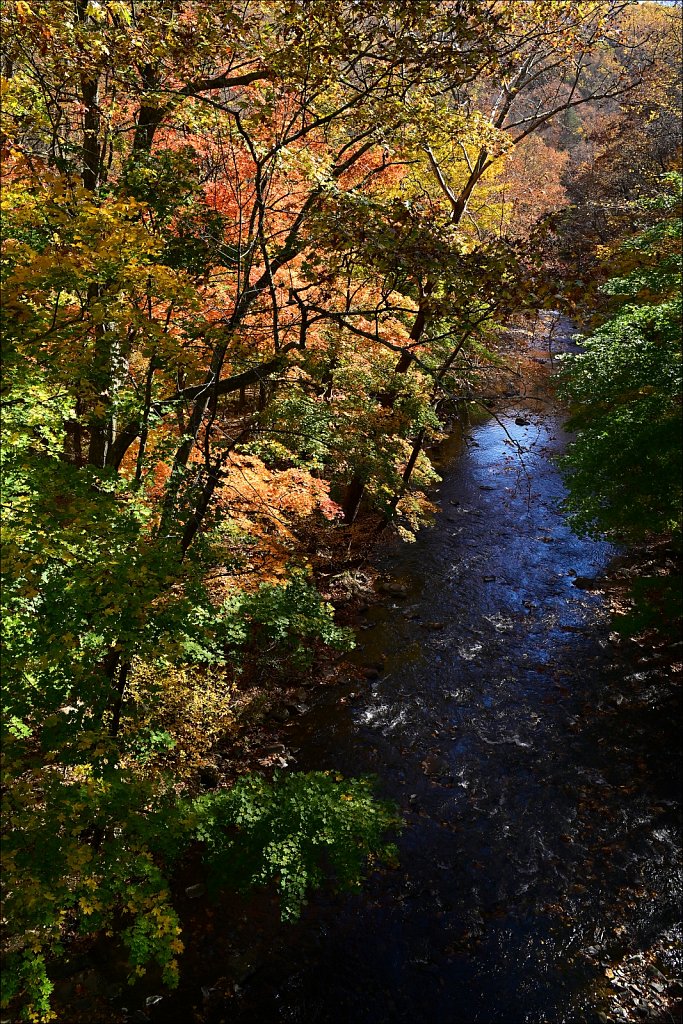 Columbia Trail - 