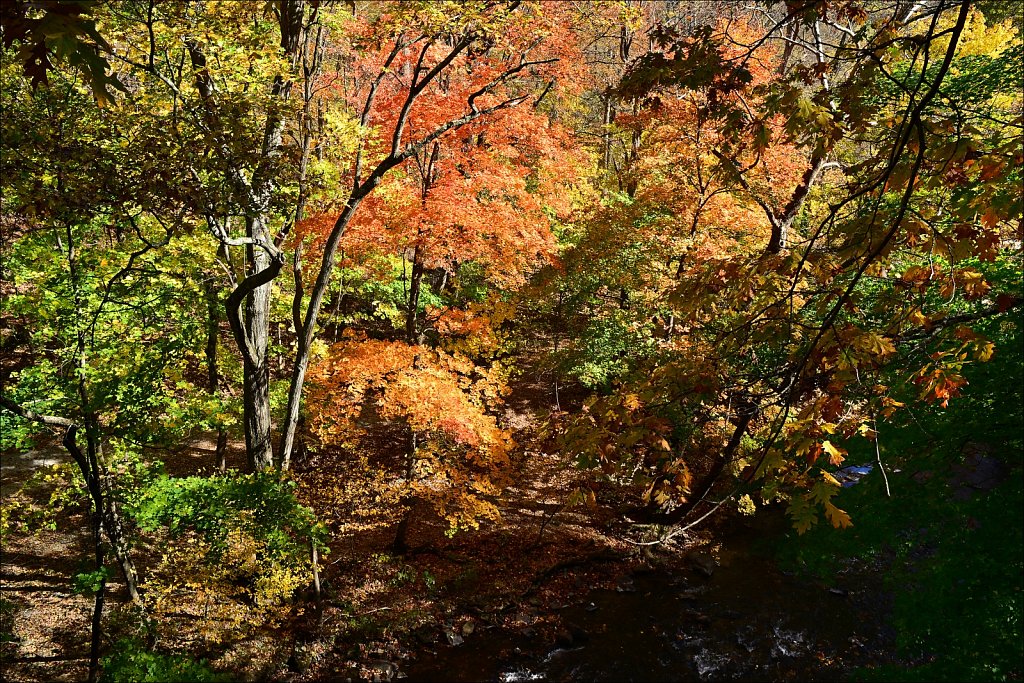 Columbia Trail - 