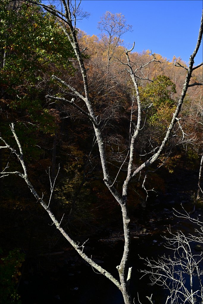 Columbia Trail - 
