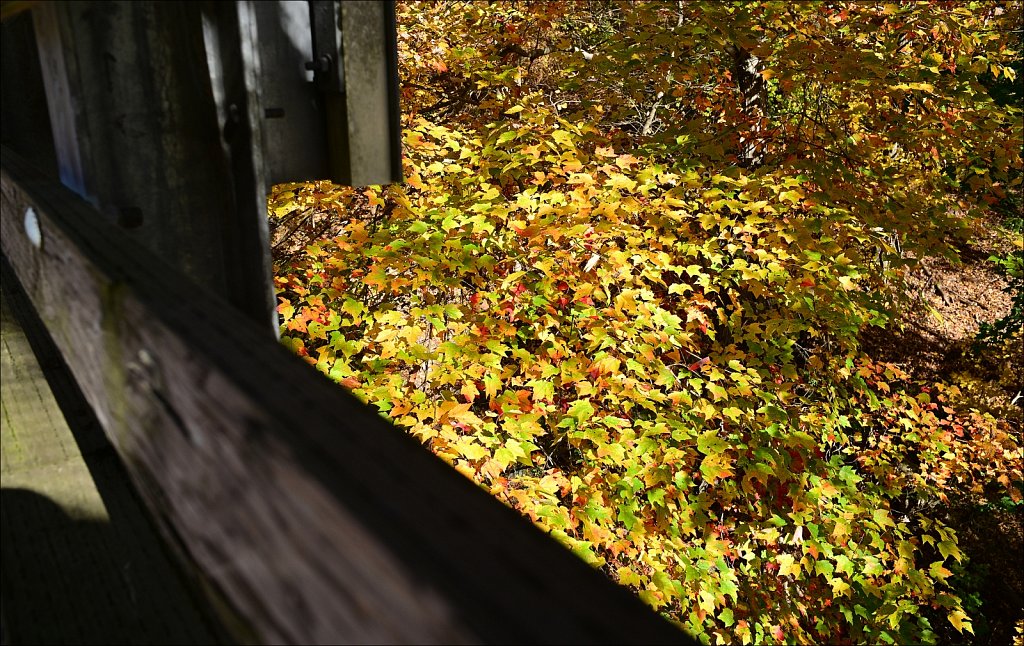 Columbia Trail - 