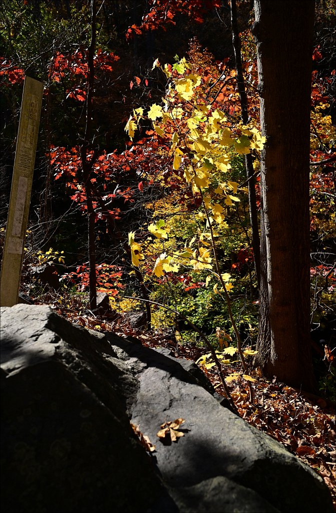 Columbia Trail - 
