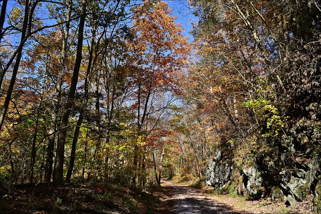 Columbia Trail - 