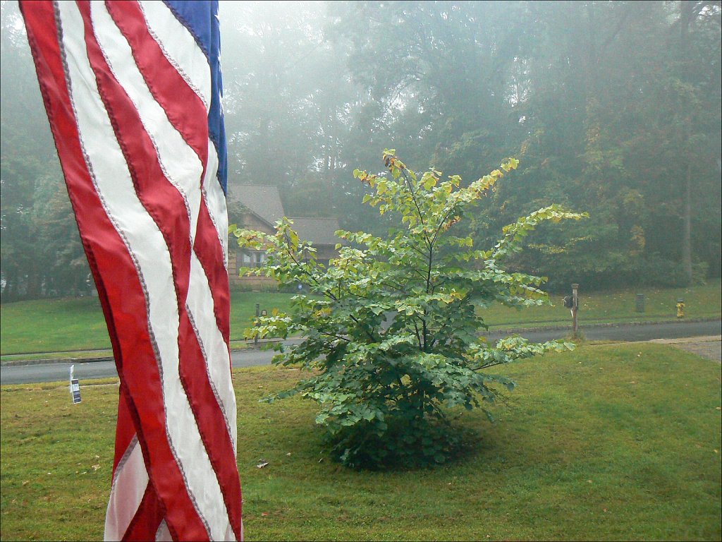 2024231F-P1060157.jpg