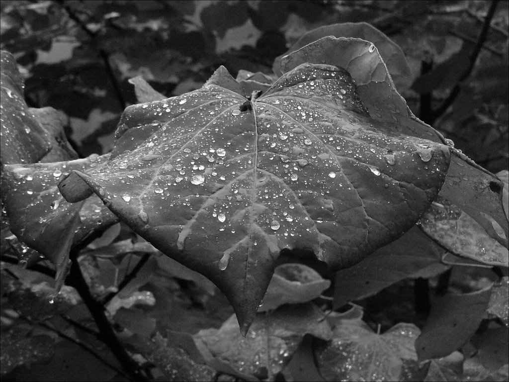2024231F-P1060168.jpg