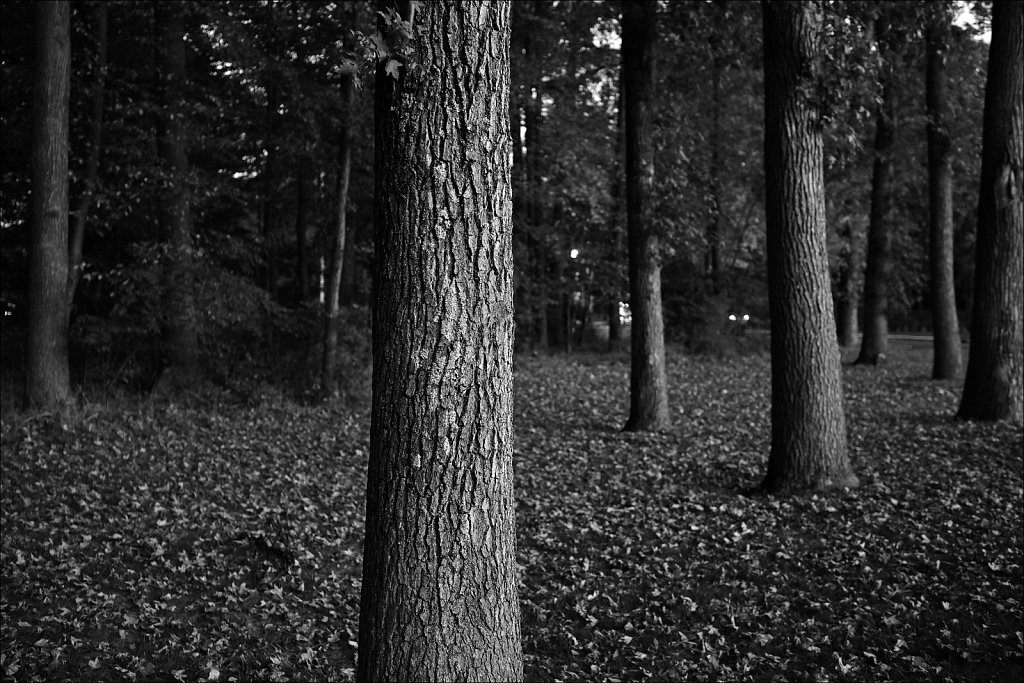 Project Black and White