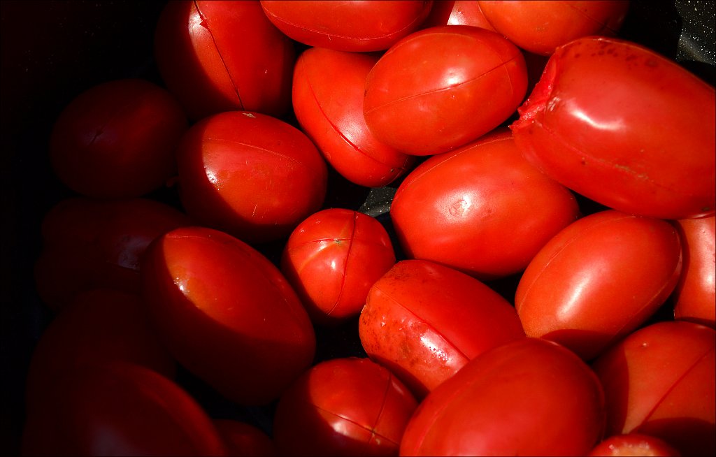 Tomatoes for Canning